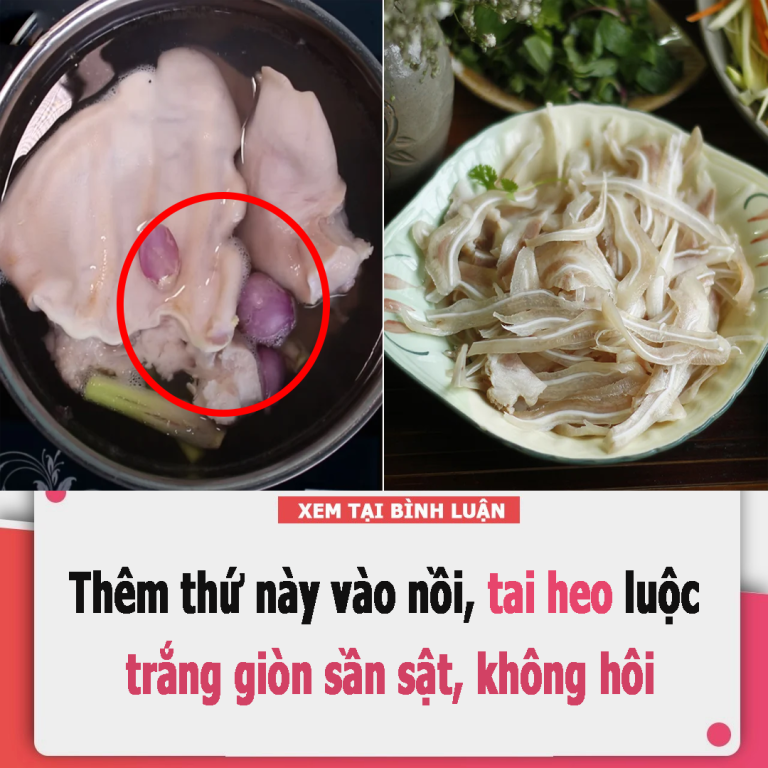 Thêm thứ này vào nồi, tai heo luộc trắng giòn sần sật, không hôi