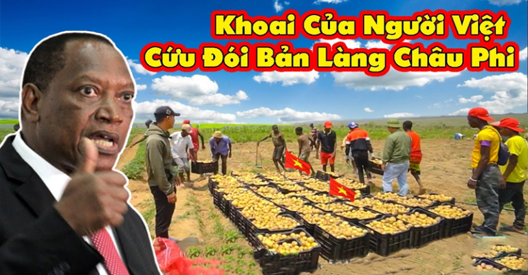 Cộng đồng thế giới nể phục khi người Việt