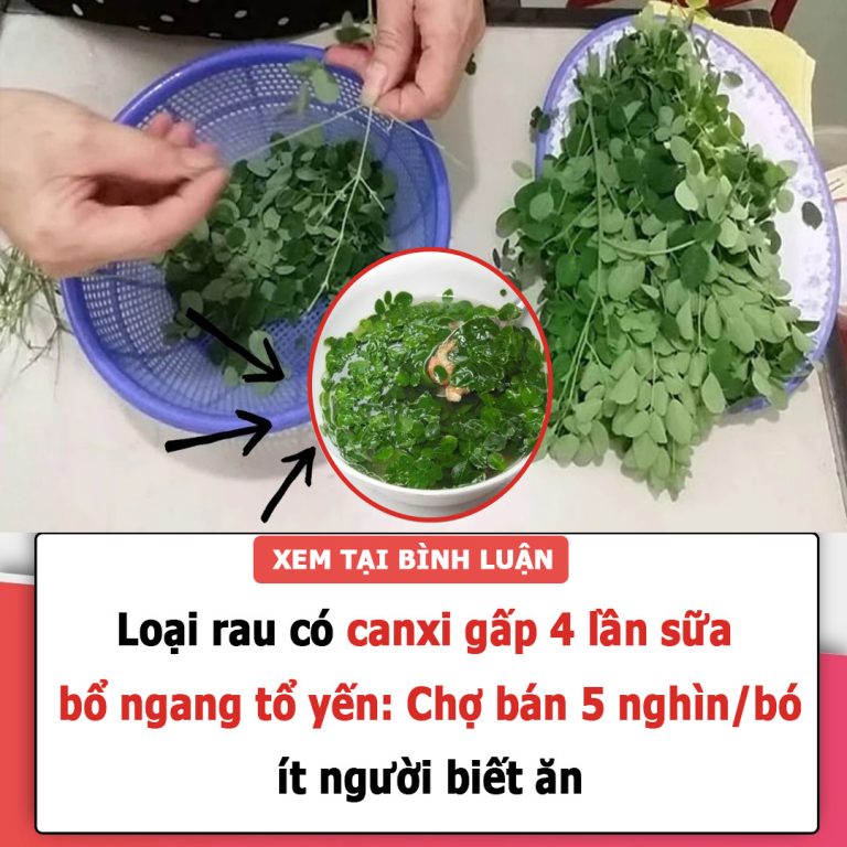 Loại rau tốt ngang tổ yến, canxi gấp 4 lần sữa: Ở Việt Nam bán đầy nhưng ít người biết ăn