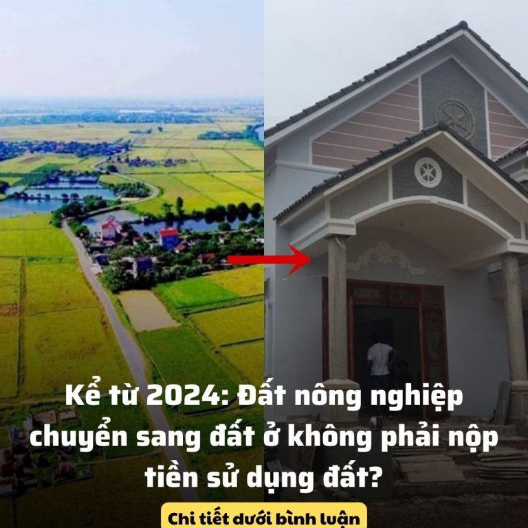 Kể từ 2024: Đất nông nghiệp chuyển sang đất ở không phải nộp tiền sử dụng đất?