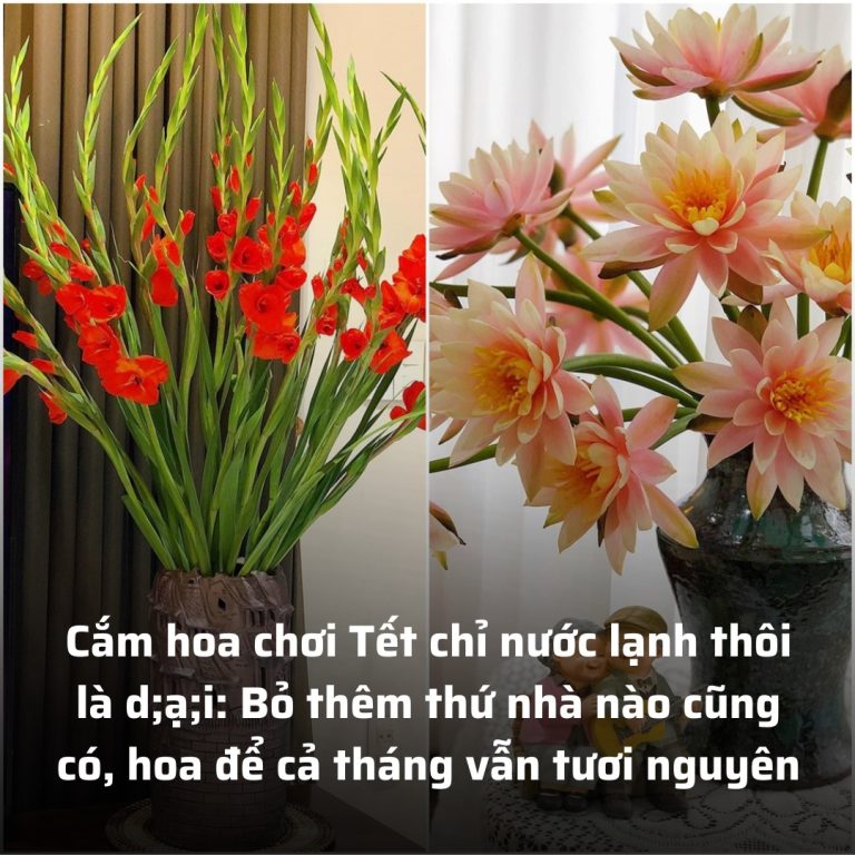 Cắm hoa chơi Tết chỉ nước lạnh thôi là dại: Bỏ thêm thứ này hoa để cả tháng vẫn tươi nguyên