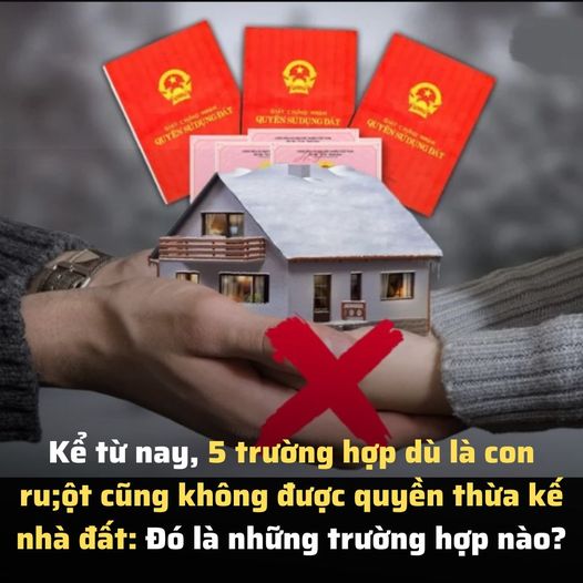 Kể từ nay, 5 trường hợp dù là con ru;ột cũng không được quyền thừa kế nhà đất, ai cũng nên biết sớm