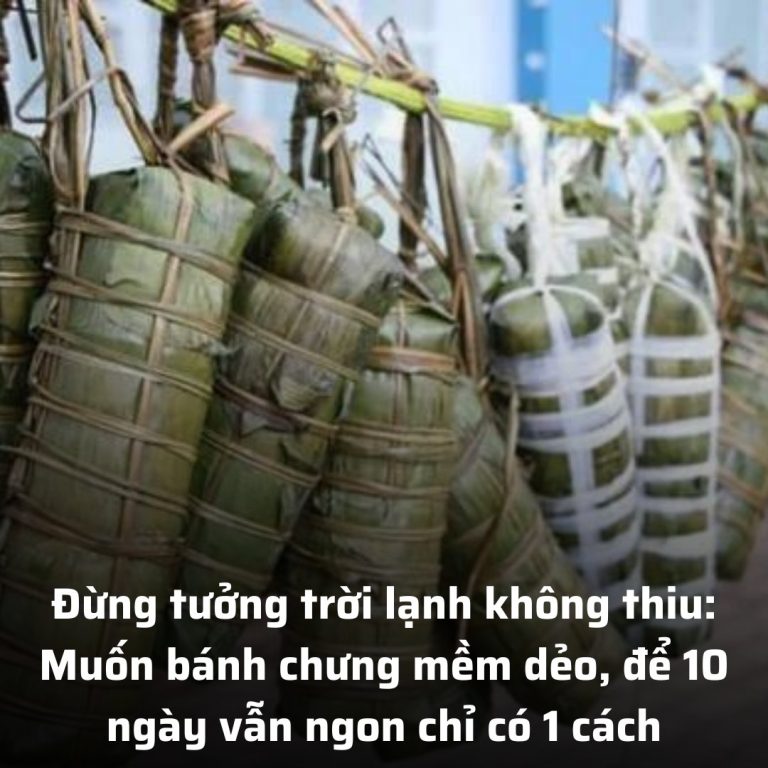 Đừng tưởng trời lạnh không thiu: Muốn bánh chưng mềm dẻo, để 10 ngày vẫn ngon chỉ có 1 cách