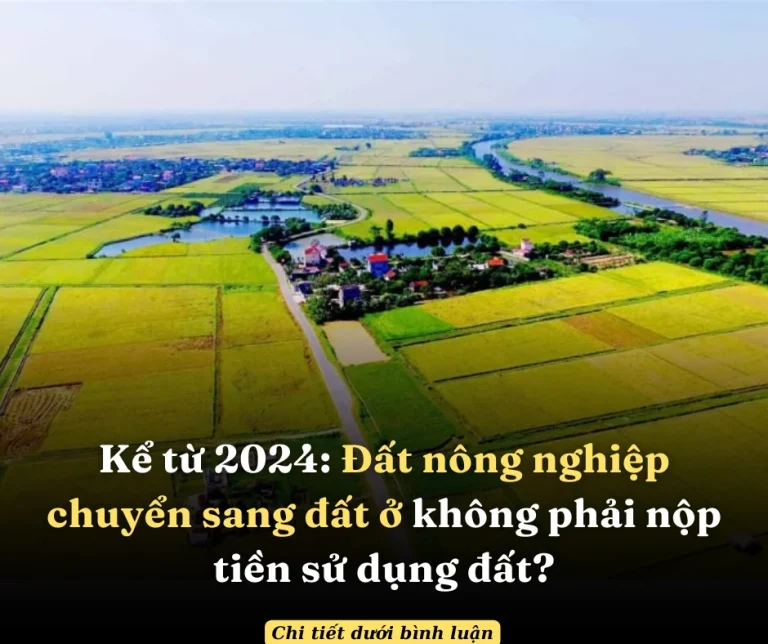 Kể từ 2024: Đất nông nghiệp chuyển sang đất ở không phải nộp tiền sử dụng đất?