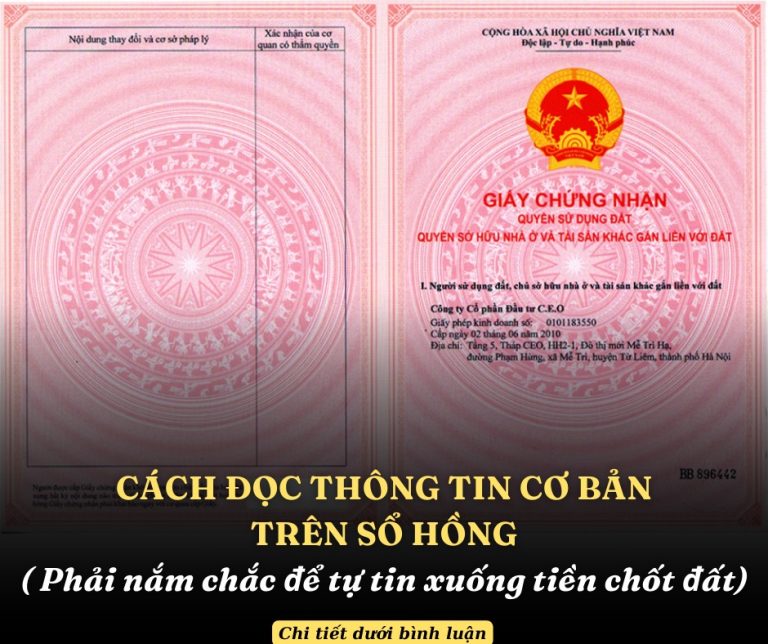 Cách đọc thông tin cơ bản trên sổ hồng cần phải nắm chắc để tự tin xuống tiền chốt đất