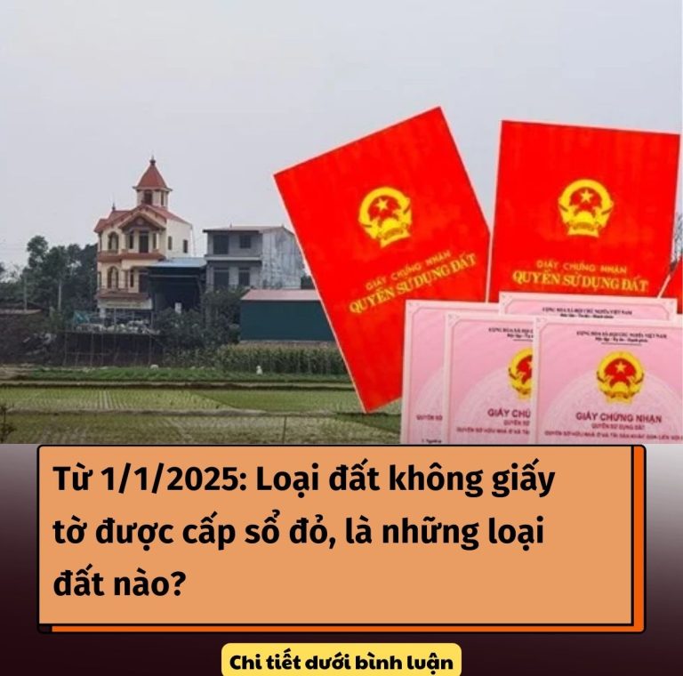 Từ 1/1/2025: Loại đất không giấy tờ được cấp sổ đỏ, là những loại đất nào?