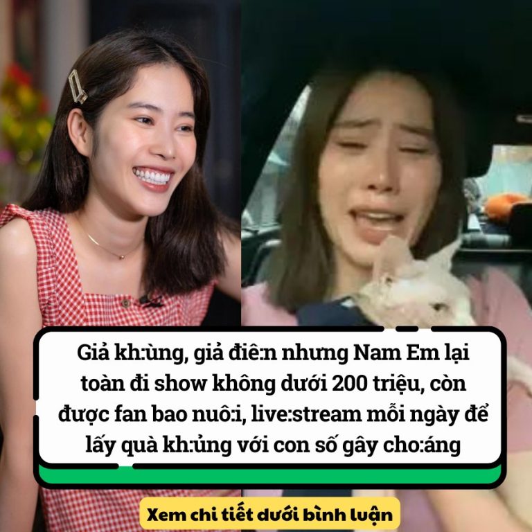 Giả kh:ùng, giả điê:n nhưng Nam Em lại toàn đi show không dưới 100 triệu, còn được fan bao nuô:i, live:stream mỗi ngày để lấy quà kh:ủng với con số gây cho:áng