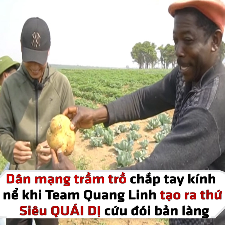 Dân mạng trầm trồ chắp tay kính nể Quang Linh tạo ra Thứ quoái dị dị mà cả đời họ không tạo ra được