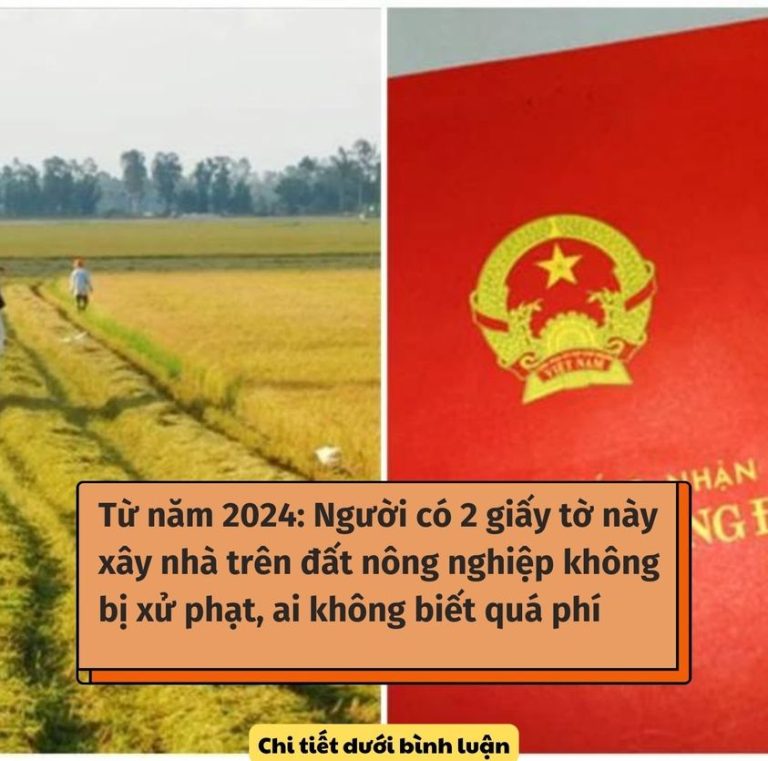 Từ năm 2024: Người có 2 giấy tờ này xây nhà trên đất nông nghiệp không bị xử phạt, ai không biết quá phí