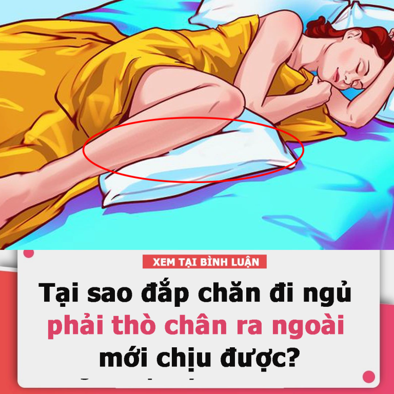 Tại sao đắp chăn đi ngủ mà chúng ta cứ phải thò chân ra ngoài mới chịu được: Thắc mắc có vẻ “ngẩn ngơ” nhưng hóa ra đều có nguyên do cả