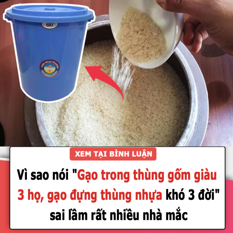 Vì sao nói “Gạo trong thùng gốm giàu 3 họ, gạo đựng thùng nhựa khó 3 đời”, sai lầm rất nhiều nhà mắc