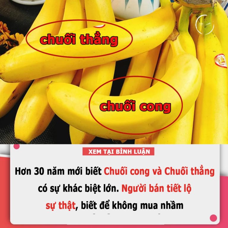 Chuối cong và chuối thẳng có sự khác biệt lớn: Người bán tiết lộ sự thật, biết để không mua nhầm