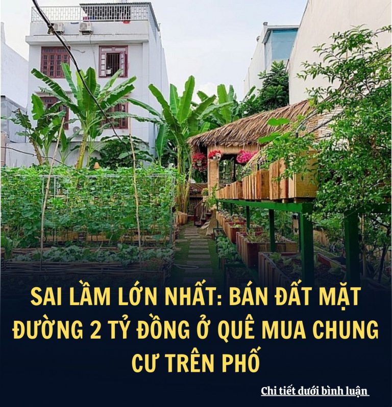 Sai lầm lớn nhất: Bán đất mặt đường 2 tỷ đồng ở quê mua chung cư trên phố