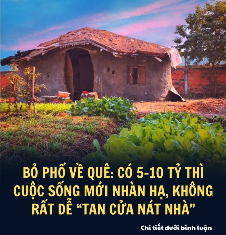 Bỏ phố về quê: Có 5-10 tỷ thì cuộc sống mới nhàn hạ, không rất dễ “tan cửa nát nhà”