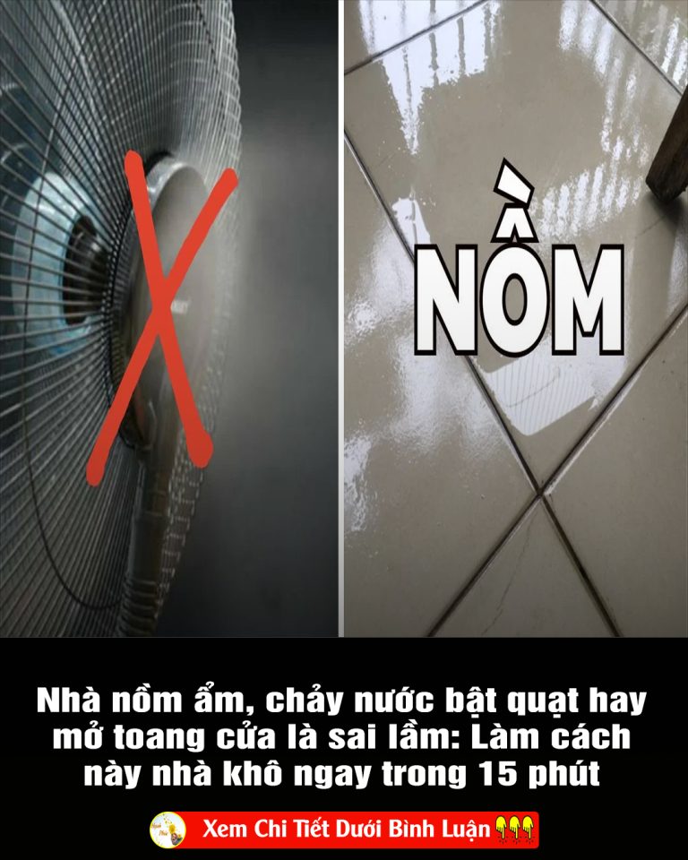 Nhà nồm ẩm, chảy nước bật quạt hay mở toang cửa là sai lầm: Làm cách này nhà khô ngay trong 15 phút