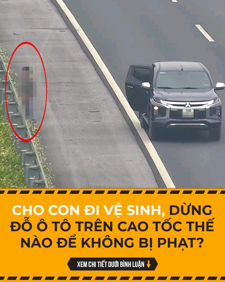 Cho con đi vệ sinh, dừng đỗ ô tô trên cao tốc thế nào để không bị phạt?