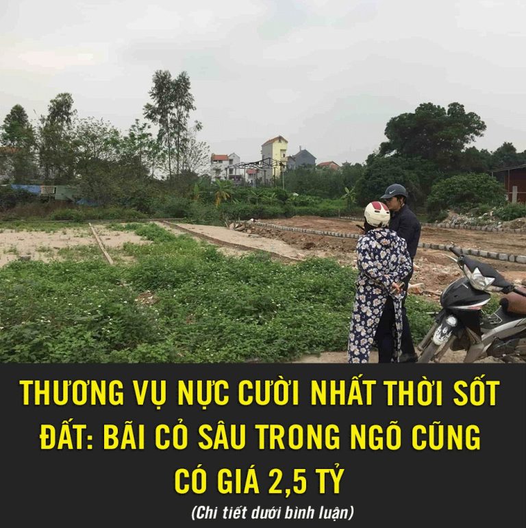 KINH DOANHThương vụ nực cười nhất thời sốt đất: Bãi cỏ sâu trong ngõ cũng có giá 2,5 tỷ