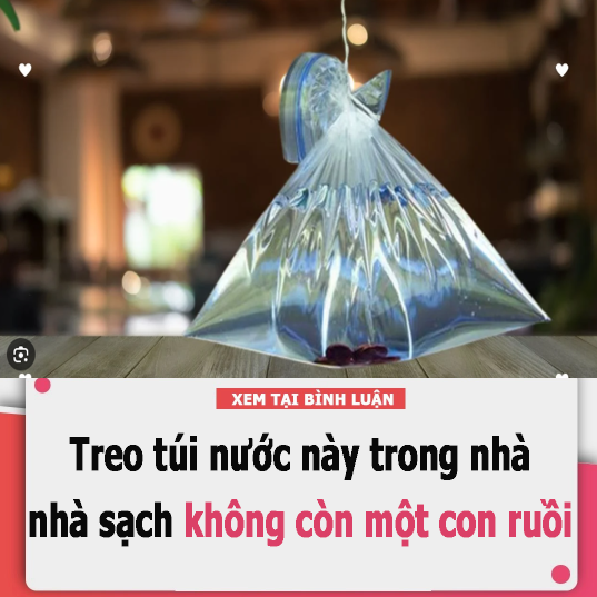 Chỉ cần treo túi nước này trong nhà, nhà sạch không còn một con ruồi