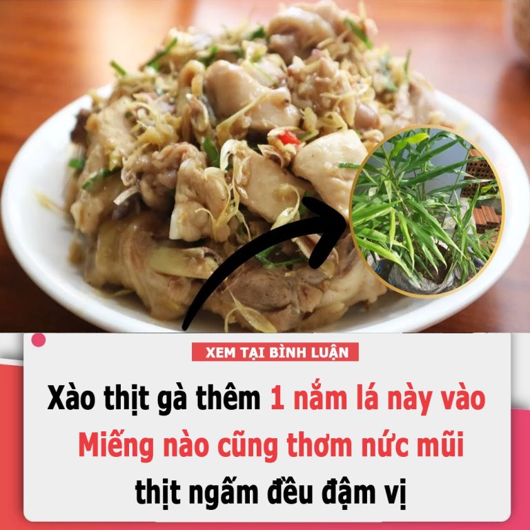 Xào thịt gà thêm 1 nắm lá này vào: Miếng nào cũng thơm nức mũi, thịt ngấm đều đậm vị