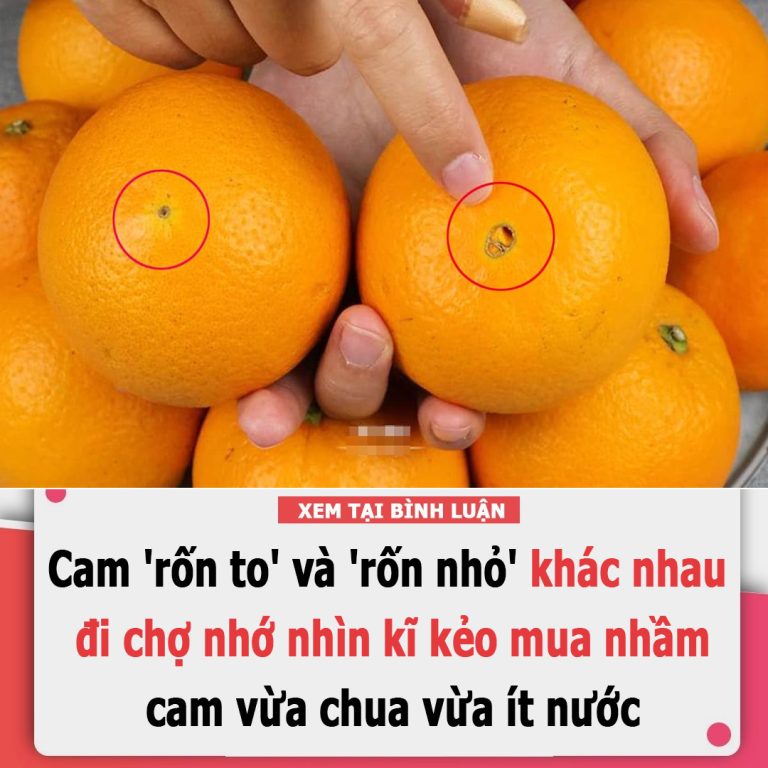 Cam ‘rốn to’ và ‘rốn nhỏ’ khác hẳn nhau, đi chợ nhớ nhìn kĩ kẻo mua nhầm cam vừa chua vừa ít nước