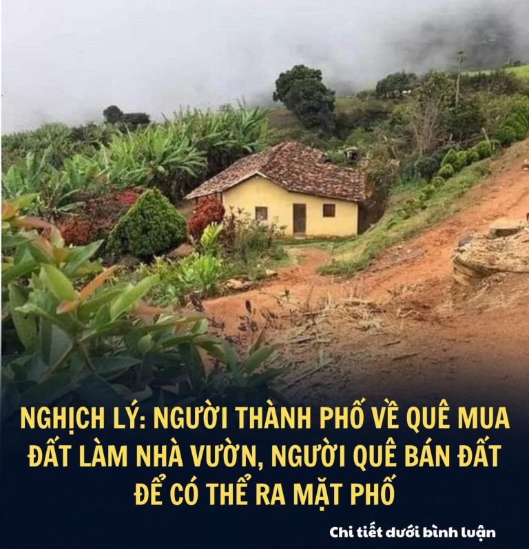 Nghịch lý: Người thành phố về quê mua đất làm nhà vườn, người quê bán đất để có thể ra mặt phố