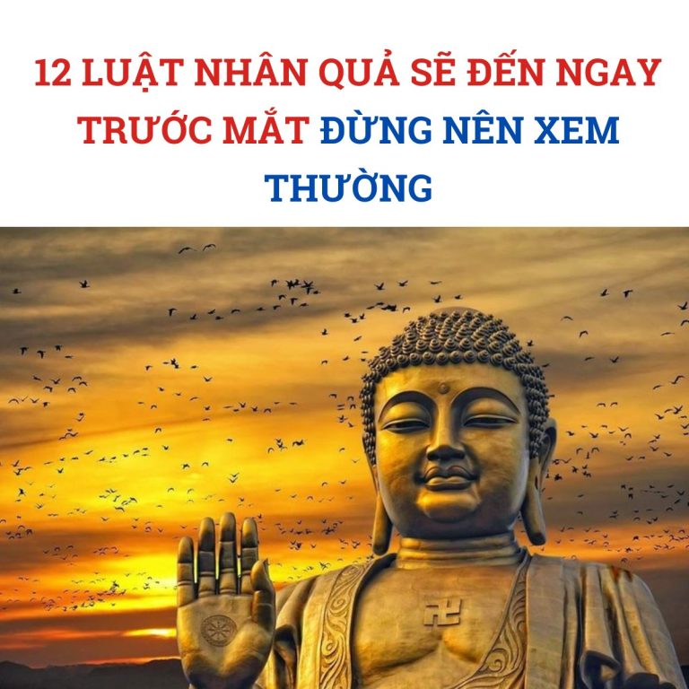 12 luật nhân quả sẽ đến ngay trước mắt đừng nên xem thường