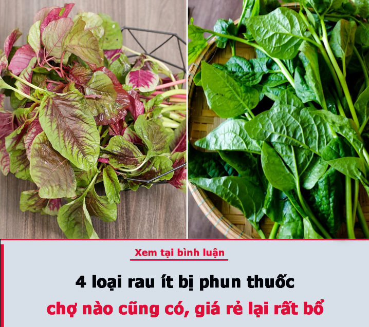 4 loại rau ít bị phun thuốc, chợ nào cũng có, giá rẻ lại rất bổ