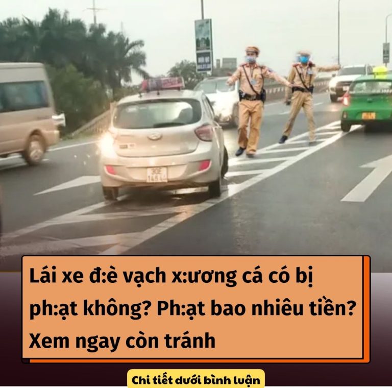 Lái xe đ:è vạch xương cá có bị ph:ạt không? Ph:ạt bao nhiêu tiền? Xem ngay còn tránh