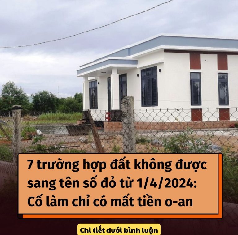 7 trường hợp không được sang tên số đỏ từ 1/4/2024: Cố làm chỉ có mất tiền o-an