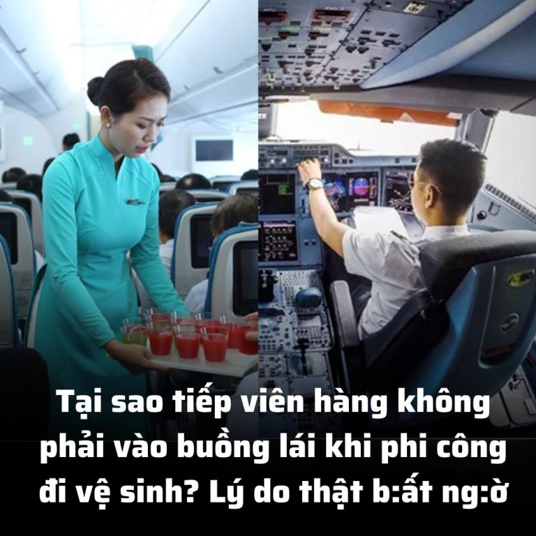 Tại sao tiếp viên hàng không phải vào buồng lái khi phi công đi vệ sinh? Lý do thật b:ất ng:ờ