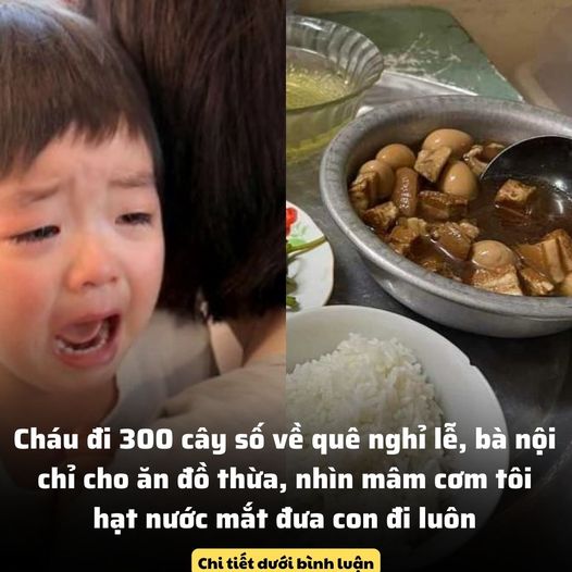 Cháu đi 300 cây số về quê nghỉ lễ, bà nội chỉ cho ăn đồ thừa, nhìn mâm cơm tôi hạt nước mắt đưa con đi luôn