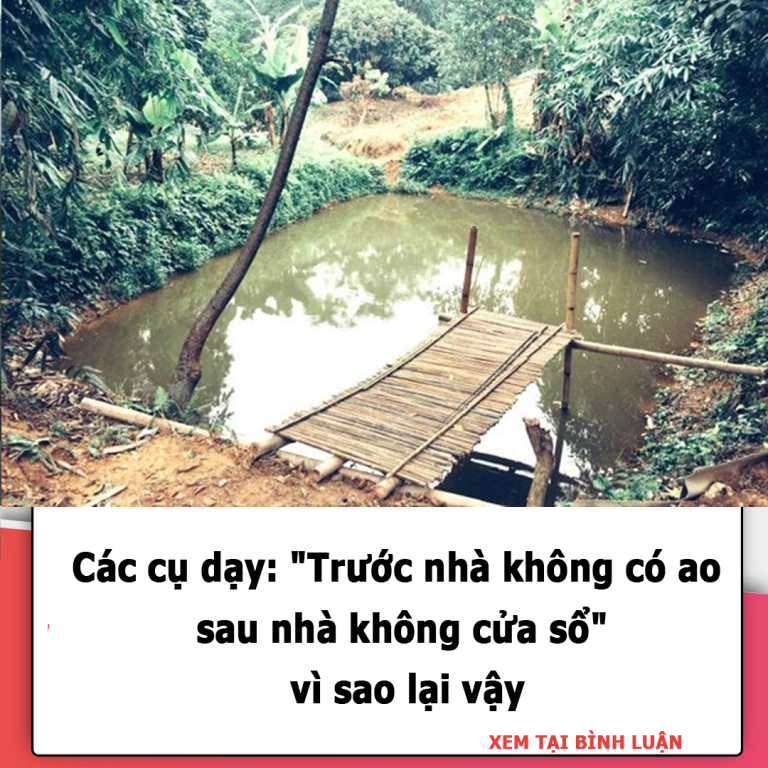 Các cụ dạy:  “Trước nhà không có ao, sau nhà không cửa sổ”:  vì sao lại vậy