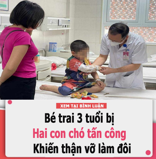 Bé trai 3 tuổi ở Vĩnh Phúc bị hai con chó tấn công khi đang chơi đùa khiến thận vỡ làm đôi