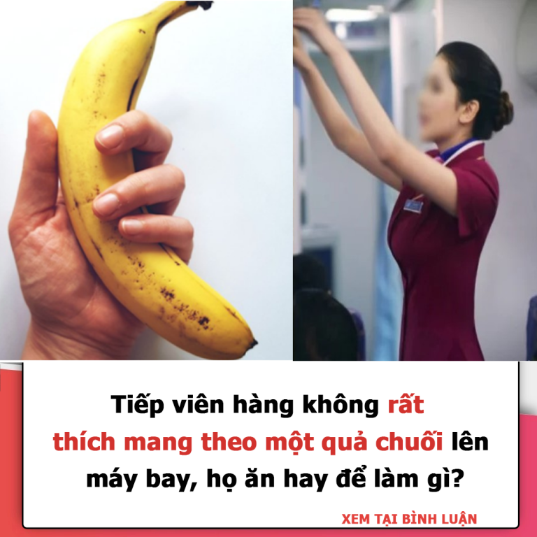 Tiếp viên hàng không rất thích mang theo một quả chuối lên máy bay, họ ăn hay để làm gì?