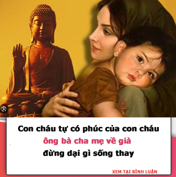 Con cháu tự có phúc của con cháu, ông bà cha mẹ về già đừng dại gì sống thay