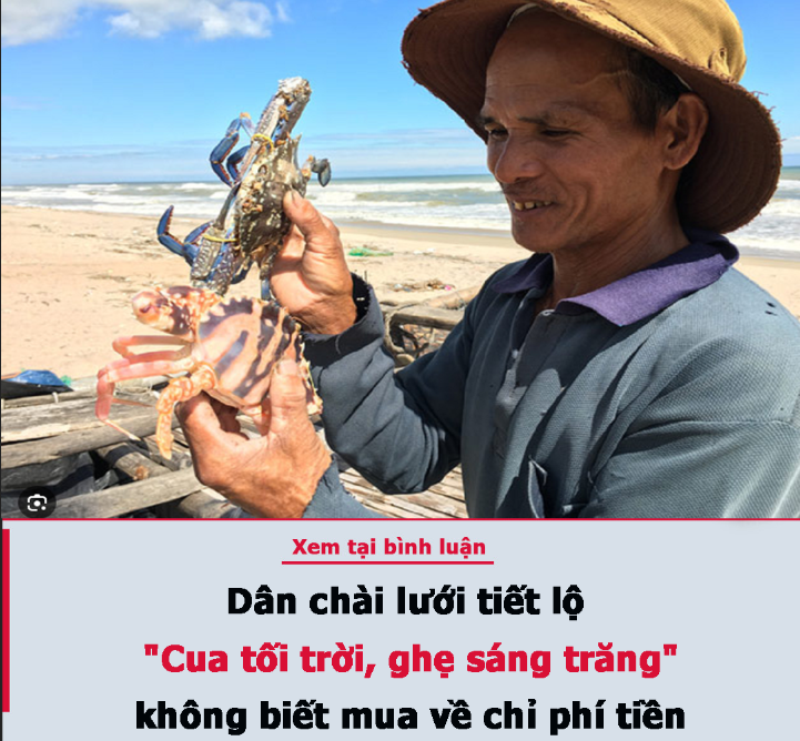 Dân chài lưới tiết lộ: “Cua tối trời, ghẹ sáng trăng”, không biết mua về chỉ phí tiền