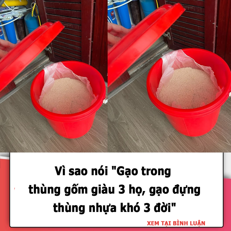 Vì sao nói “Gạo trong thùng gốm giàu 3 họ, gạo đựng thùng nhựa khó 3 đời”, bảo sao vẫn nghèo