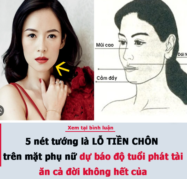 5 nét tướng là LỖ TIỀN CHÔN trên mặt phụ nữ dự báo độ tuổi phát tài, ăn cả đời không hết của