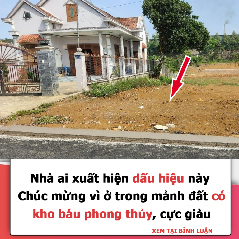 Nhà ai xuất hiện dấu hiệu này: Chúc mừng vì ở trong mảnh đất có kho báu phong thủy, cực giàu