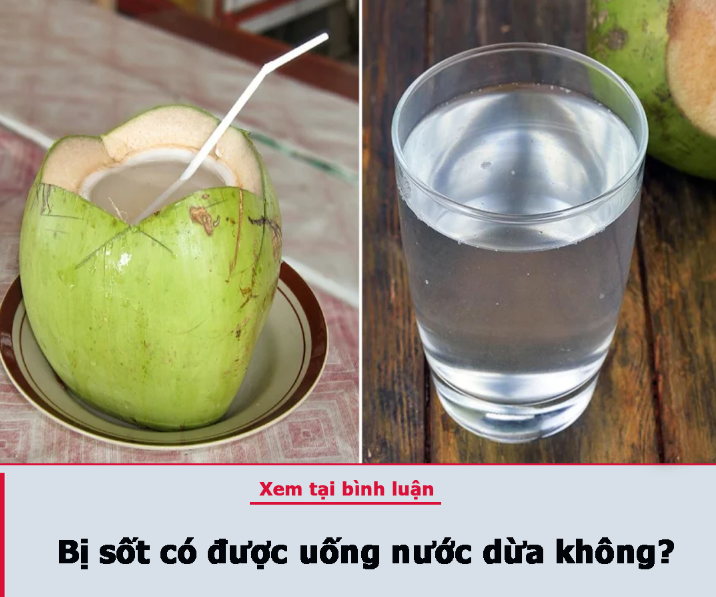 Bị sốt có được uống nước dừa không?