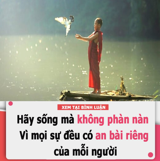 Hãy sống mà không phàn nàn vì mọi sự đều có an bài riêng của mỗi người