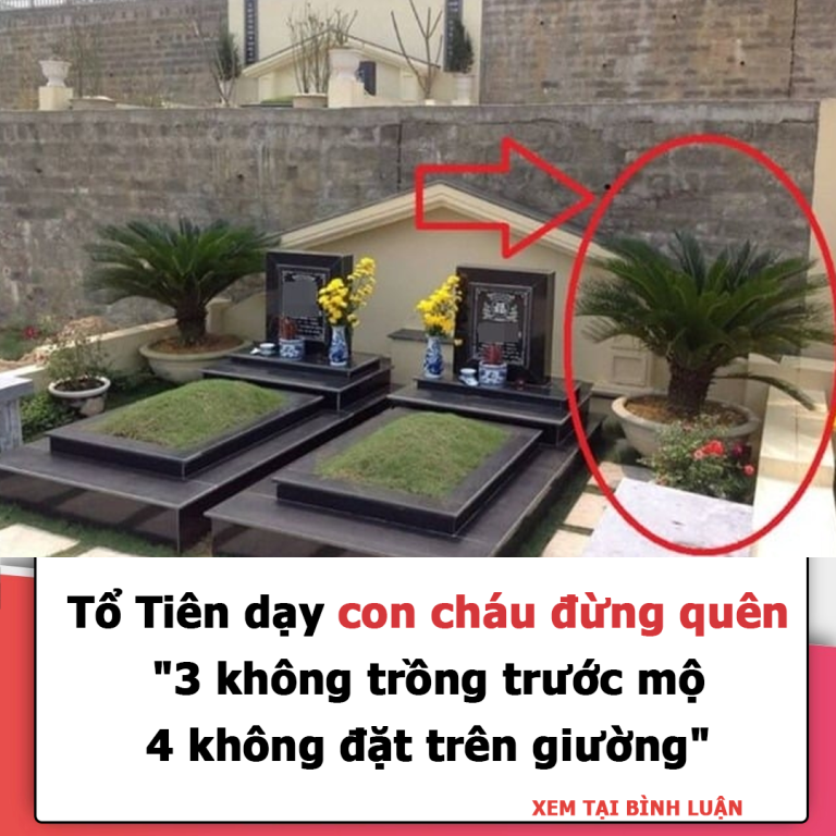 “3 không trồng trước mộ, 4 không đặt trên giường”, lời Tổ Tiên dạy, con cháu đừng quên