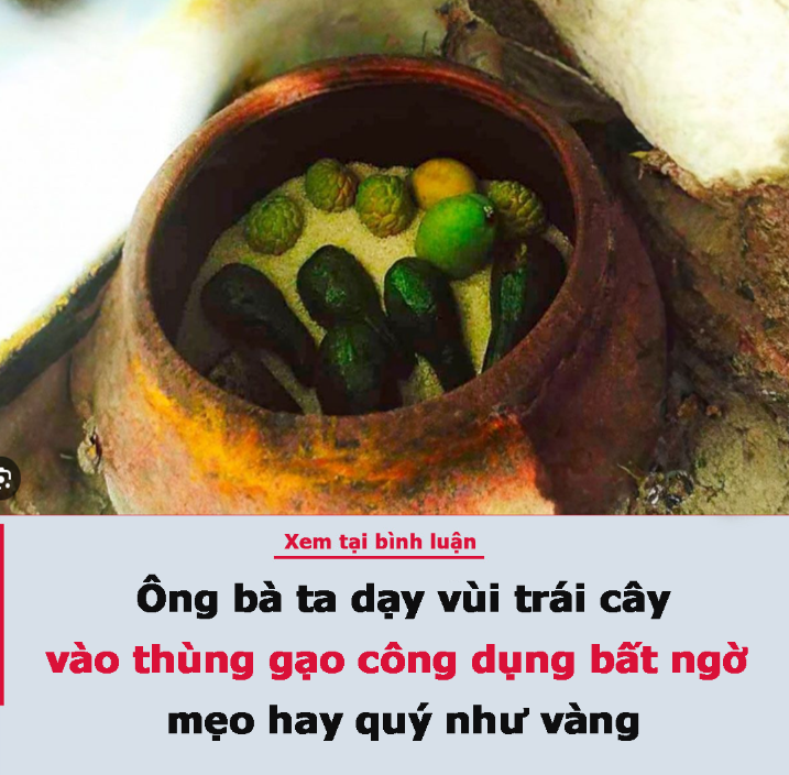 Ông bà ta dạy vùi trái cây vào thùng gạo công dụng bất ngờ, mẹo hay quý như vàng không biết thật phí