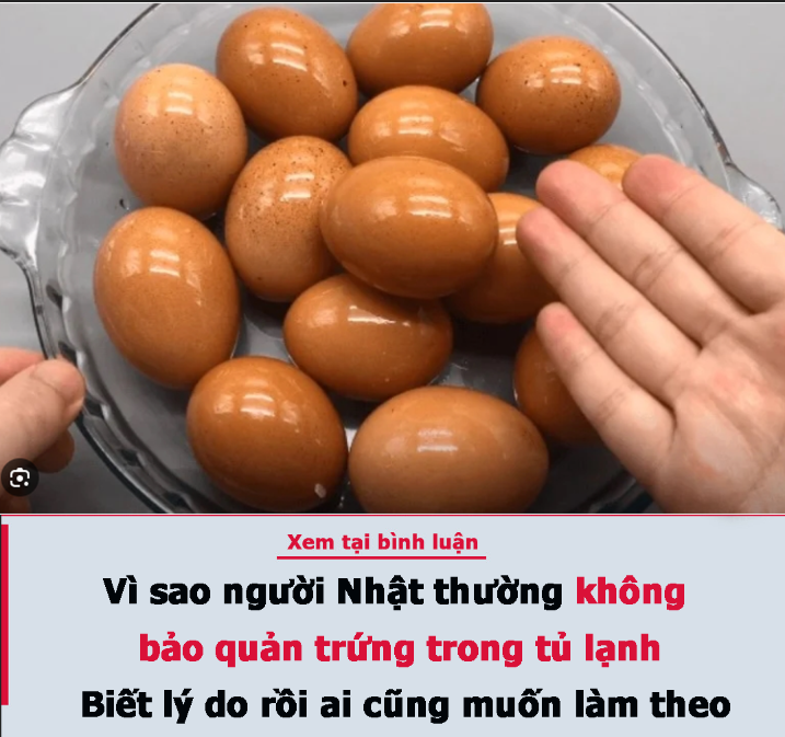 Vì sao người Nhật thường không bảo quản trứng trong tủ lạnh: Biết lý do rồi ai cũng muốn làm theo