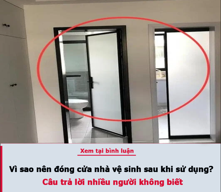 Vì sao nên đóng cửa nhà vệ sinh sau khi sử dụng? Câu trả lời nhiều người không biết