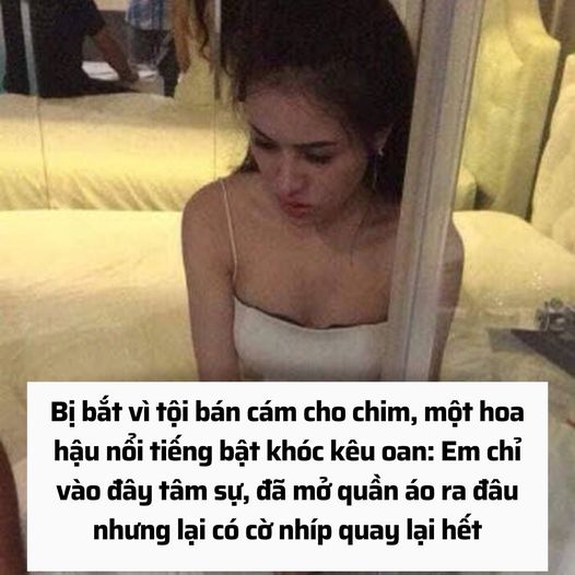 Bị bắt vì tội bán cám cho chim, một hoa hậu nổi tiếng bật khóc kêu oan: Em chỉ vào đây tâm sự