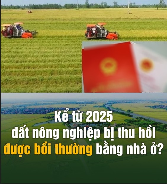 Kể Từ 2025, Đất Nông Nghiệp Bị Thu Hồi Được Bồi Thường Bằng Nhà Ở?