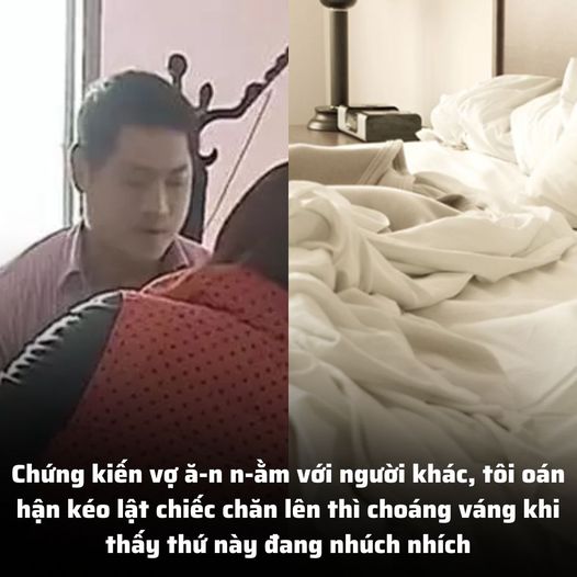 Chứng kiến vợ ă-n n-ằm với người khác, tôi oán hận kéo lật chiếc chăn lên thì choáng váng khi thấy thứ này đang nhúch nhích