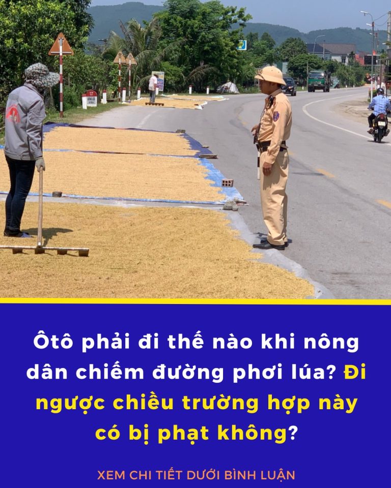 Ôtô phải đi thế nào khi nông dân chiếm đường phơi lúa? Đi ngược chiều trường hợp này có bị phạt không?