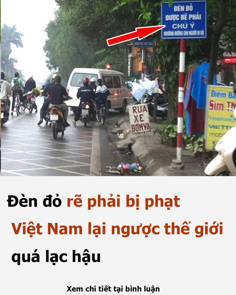 Đèn đỏ rẽ phải bị phạt: Việt Nam lại ngược thế giới, quá lạc hậu